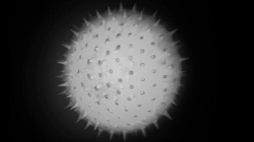 无散斑荧光照明